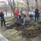 В бой идут одни старики? Благоустройством города на добровольных началах занимаются большей частью пенсионеры