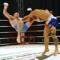 В Омске пройдет чемпионат Сибири по ММА